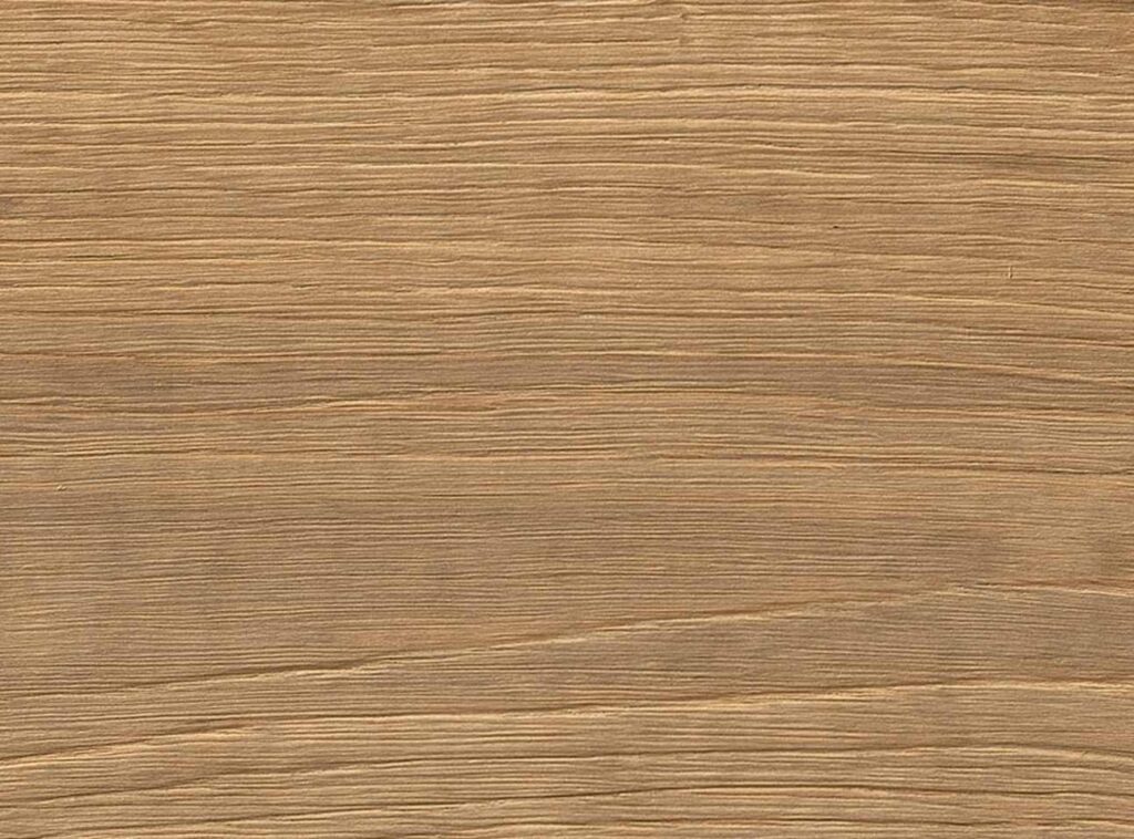 Patagonia  Oak szczotka 535625